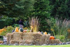 Halloweem-Birkegaardens-Haver-okt-24-abw-31-scaled