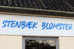 Stenbaek-Blomster-23-nov-23-abw-3-scaled