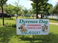 Dyrenes Dag, Anlægget, Slagelse Festuge 2017.