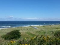 Strandeng ved Svendstrup Strand. Foto: F. Børglum Hansen