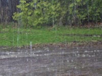 2017 har mest af alt været et regnfuldt år uden de helt store vinter- og efterårsstorme. Det er en af årsagerne til, at der er overskud på skaderegnskabet hos det kundeejede GF Forsikring.