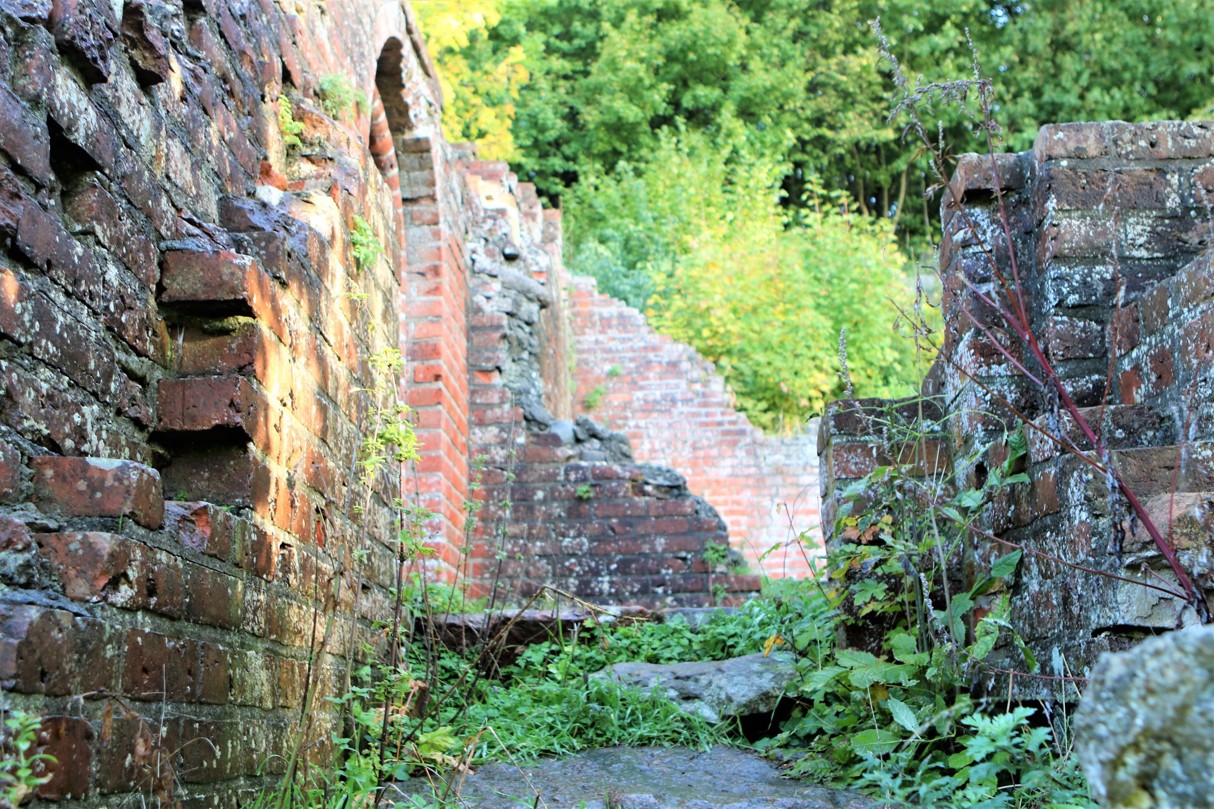 Rundvisning i ruinerne af Antvorskov Kloster