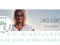 Foto: FIN - Feminint Iværksætter Netværk - ‎Mindfulness: Kend dine stressfaktorer