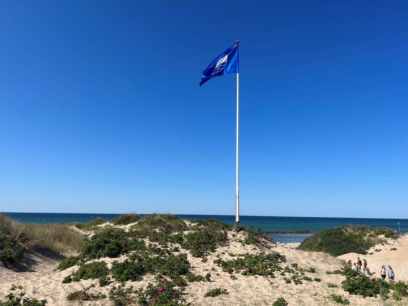 Ni blå flag hejses i Slagelse Kommune