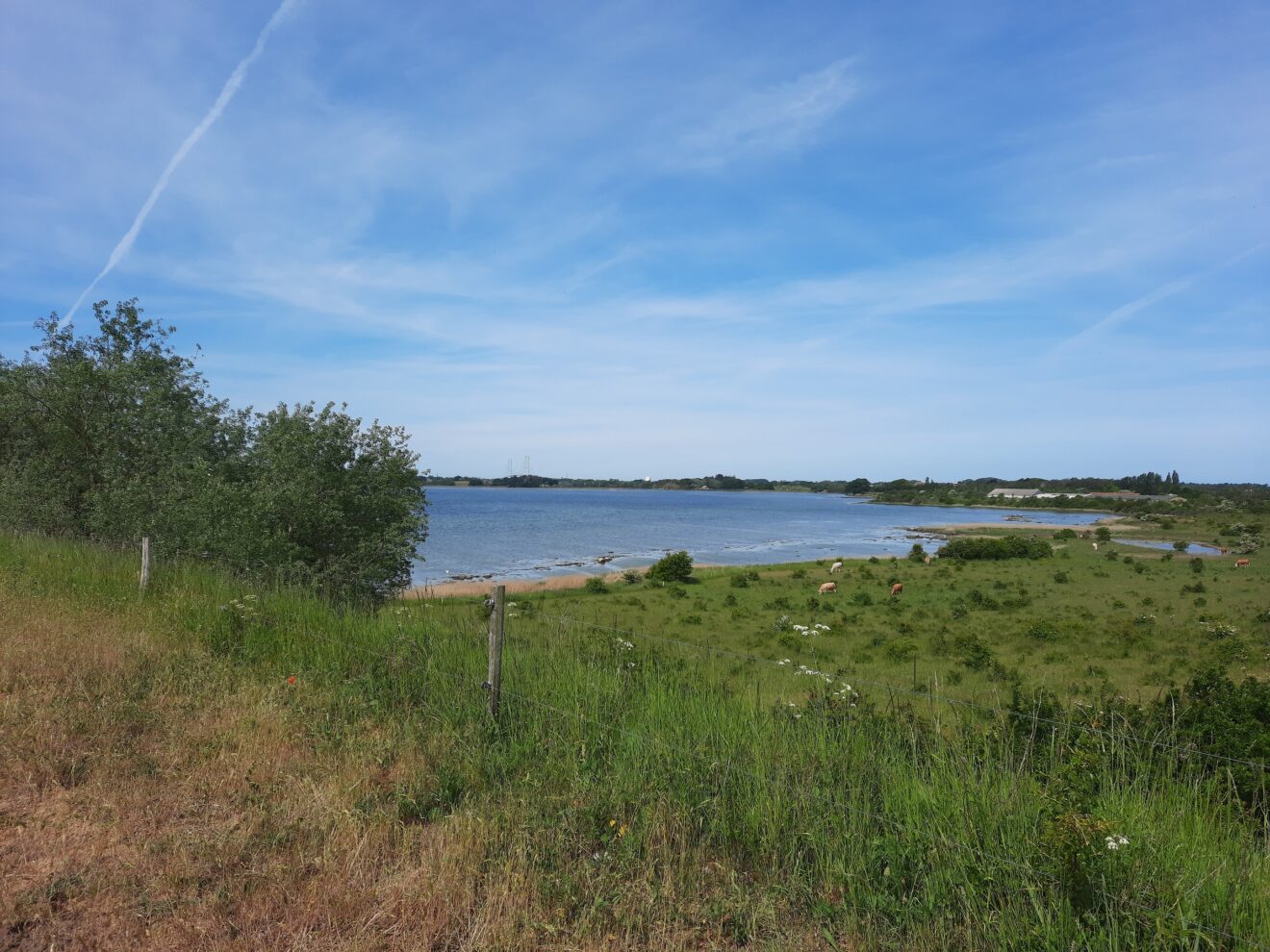 Vandretur ved Tårnborg