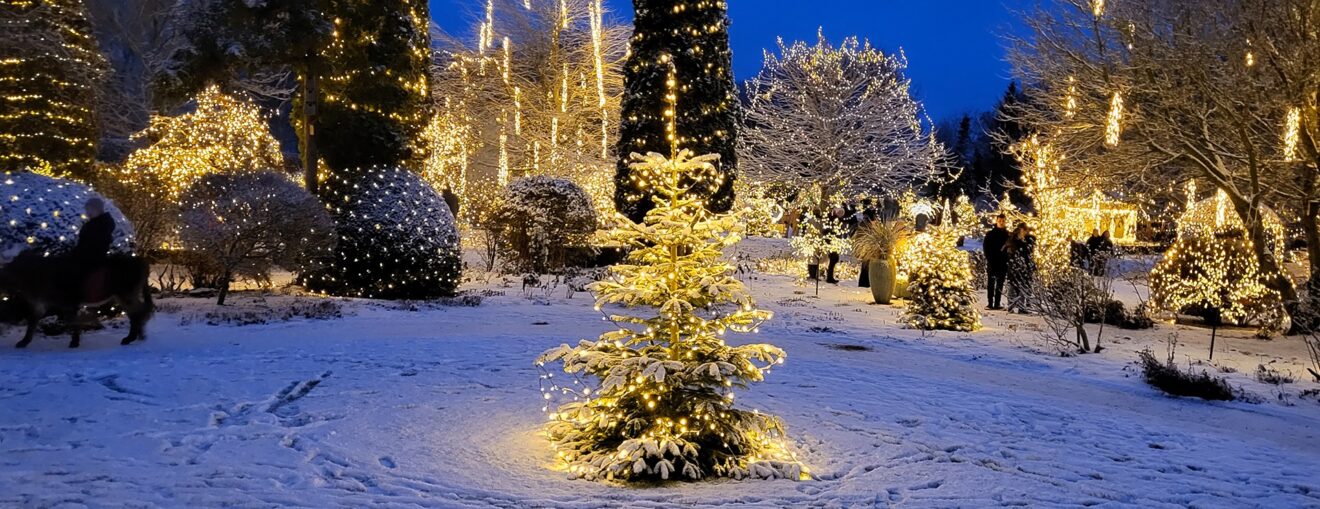 Fabelagtige julehaver