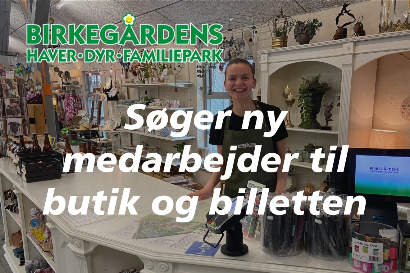 Birkegårdens Haver søger butiks- og servicemedarbejder over 18 år