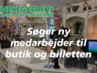 Birkegårdens Haver søger butiks- og servicemedarbejder over 18 år