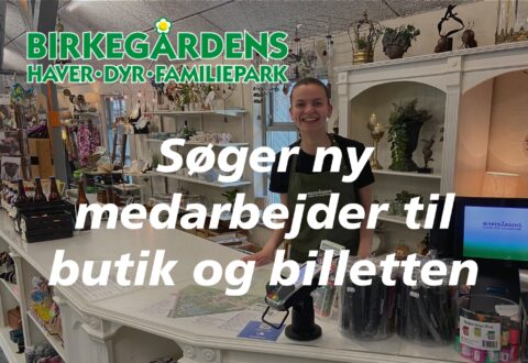 Birkegårdens Haver søger butiks- og servicemedarbejder over 18 år