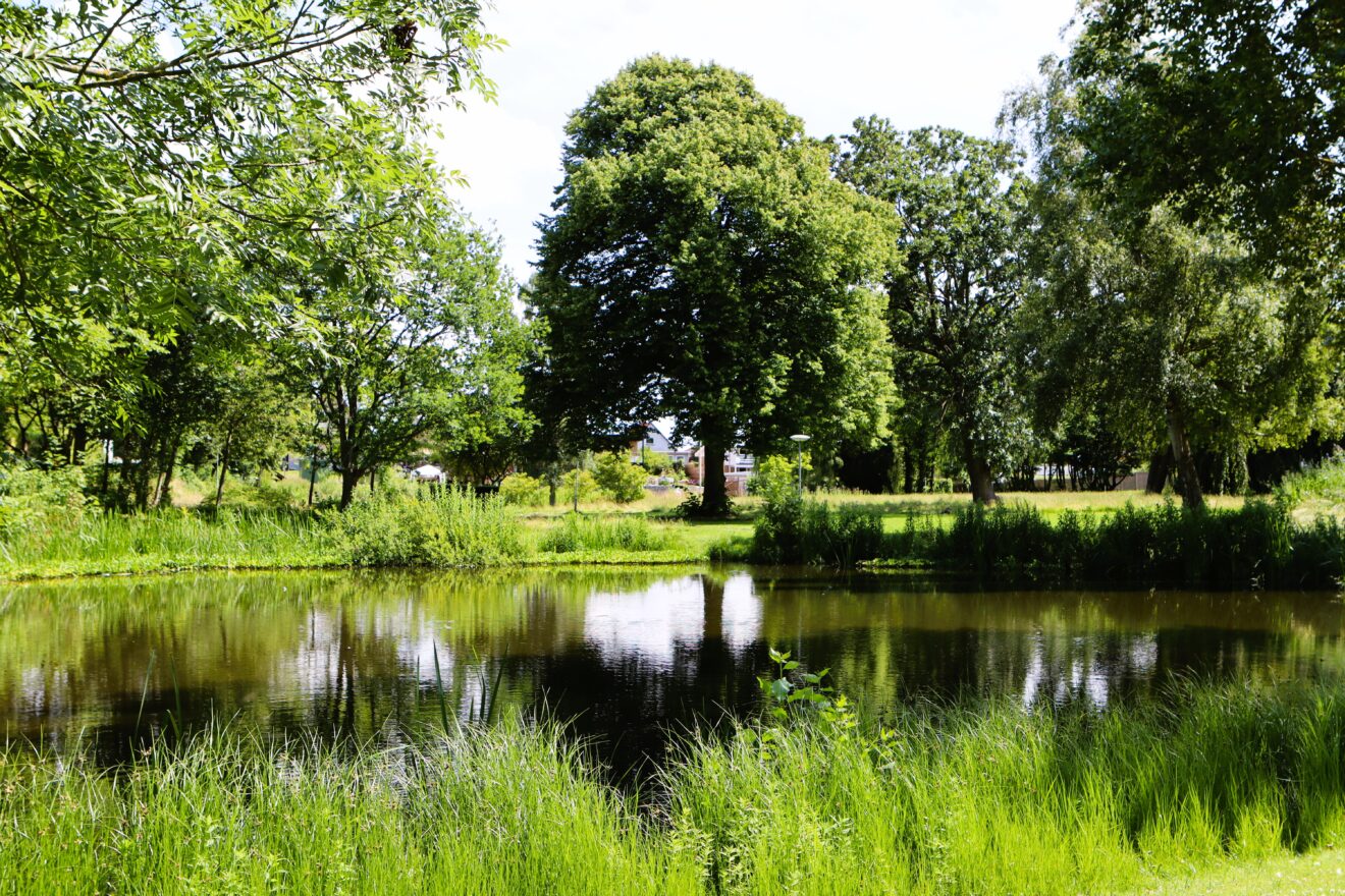 Smukke Lovsøanlægget