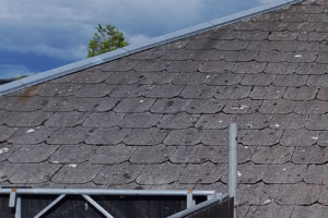 Mange husejere får i denne tid udskiftet deres asbesttag. Foto: SDL