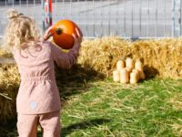 Danmarks største græskarfestival