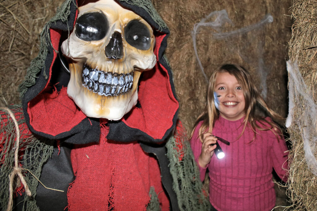 Hylende hyggelig Halloween i haverne