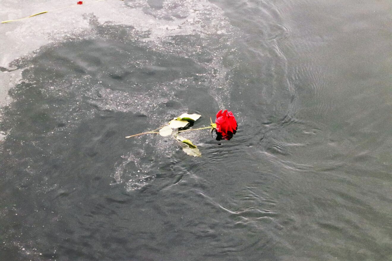 Stadig flere vælger havet som deres sidste hvilested