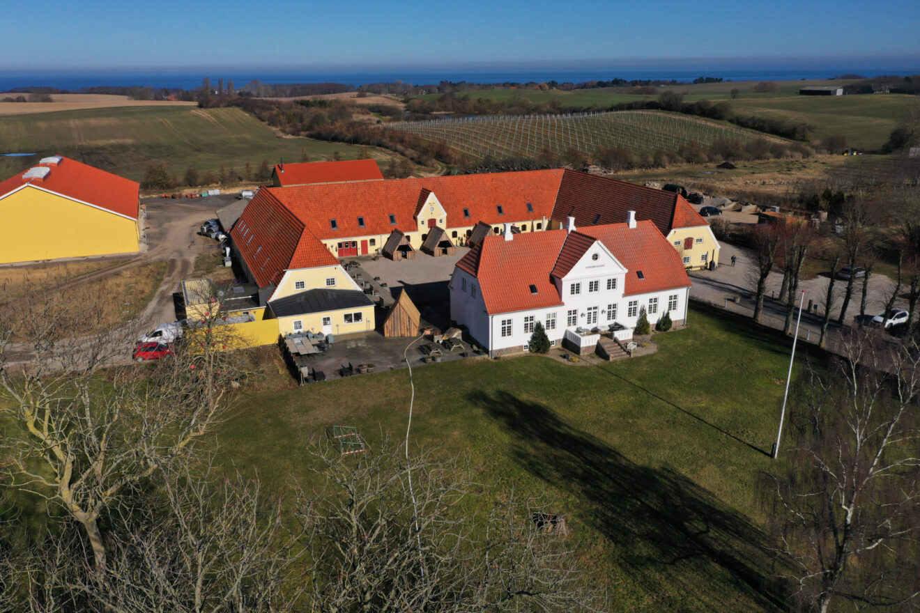 Danmarks største vingård solgt: Ny ejer vil sætte dansk vin på verdenskortet