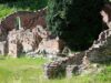 Antvorskov Klosterruin. Foto: Museum Vestsjælland