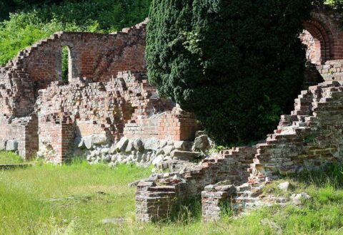 Antvorskov Klosterruin. Foto: Museum Vestsjælland